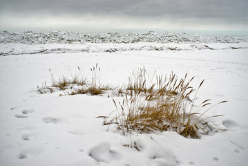 Ice at the sea