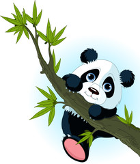 Naklejka premium Giant panda climbing tree