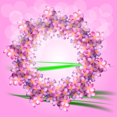 plumeria, vector illustration