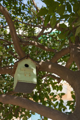 SONY DSC