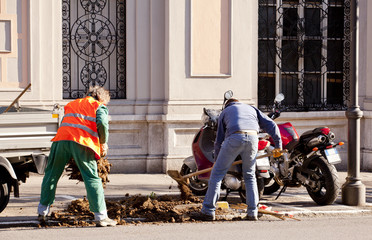 Operai scavano una buca