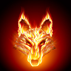 Fiery stallion. Wolf