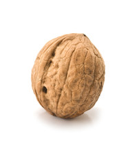 walnut