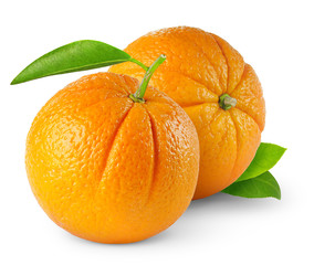 Isolated oranges. Two whole unpeeled oranges isolated on white background