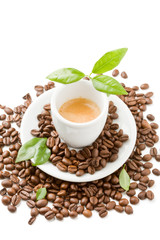 Caffè con foglie verdi su sfondo bianco