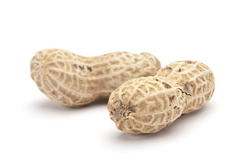 Peanut in shell