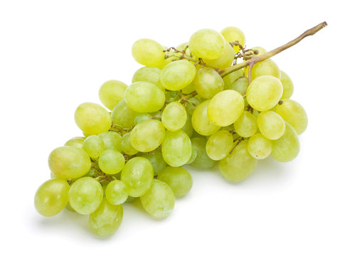 Fresh green grape