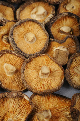 dried mushrooms