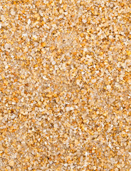 Sand Texture