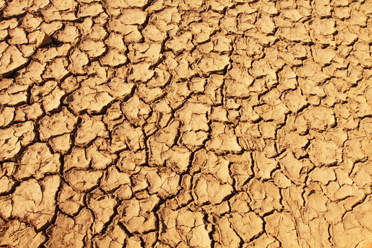 Cracked soil on desert