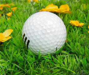 golf ball
