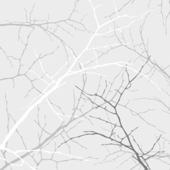 the abstract tree background