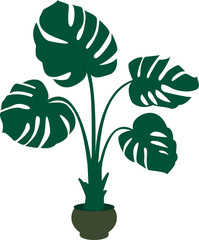 green monstera plant background