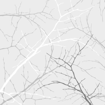 the abstract tree background