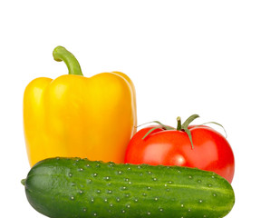 cucumber, tomato and pepper on a white background
