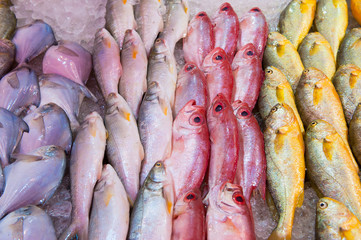 fresh fish at a fish market