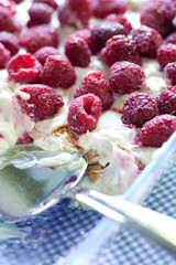 quark dessert with raspberries