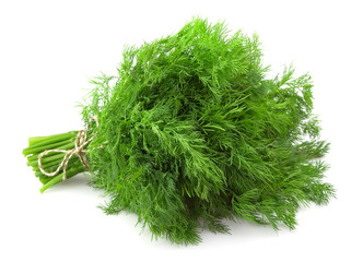 Dill closeup