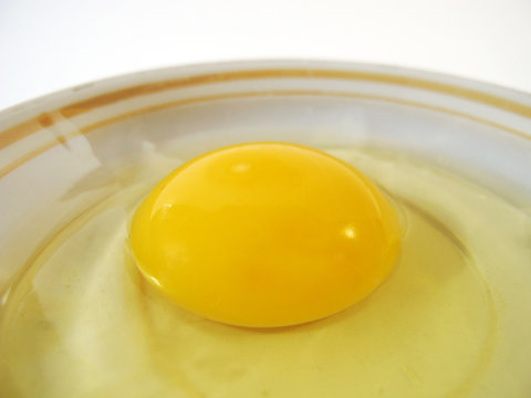 Яйцо, желток