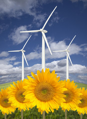 Wind Turbines Against Dramatic Sky with Bright Sunflowers