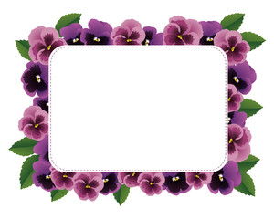pansy card