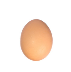 close up of egg on white background