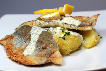 Forellenfilet
