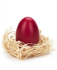 red egg in a nest