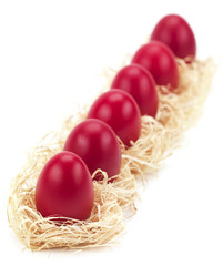 red eggs in a row