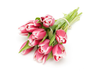 bunch of pink tulips