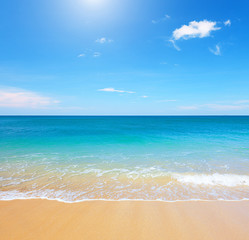 Fototapeta premium beach and tropical sea