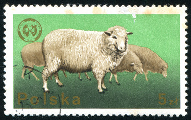 postage stamp