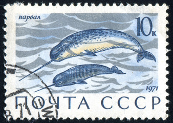 postage stamp © rook76