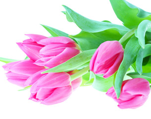 Obraz premium Bouquet of pink tulips isolated on a white background