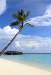Fototapeta na wymiar Domek Malediwy morze i niebo i palmy
