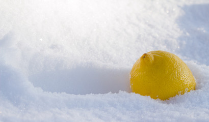 Lemon In snow