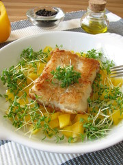 Fisch auf Paprika und Kresse