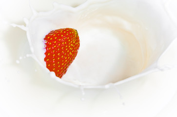 The strawberry falling in milk