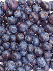 Berries of a bilberry