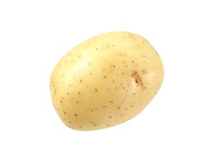 Potato
