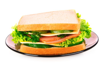 Sandwich isolated on white