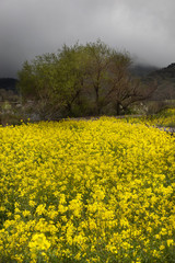 Obraz premium Sardinia