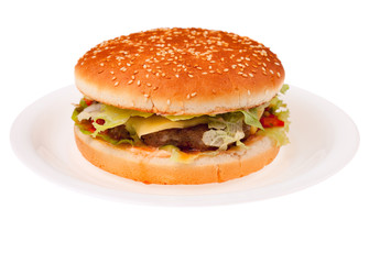 hamburger with vegetables on white plate