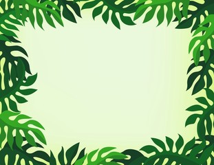tropical leaf background