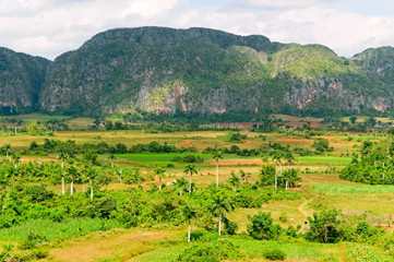 Fototapeta na wymiar Vinales valley, Cuba