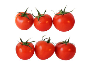 Six Tomato