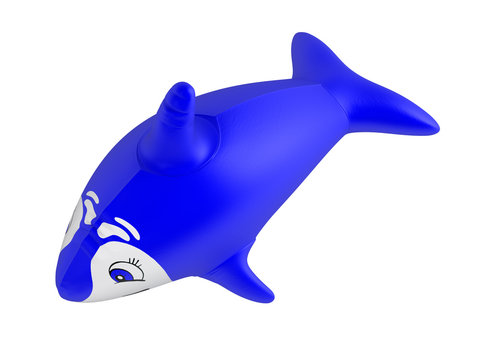 Inflatable Dolphin