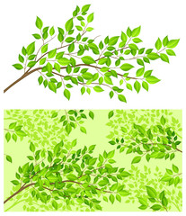 branch tree with green leaf