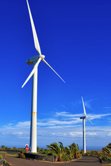 Two wind turbines