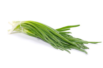 Fototapeta premium onions